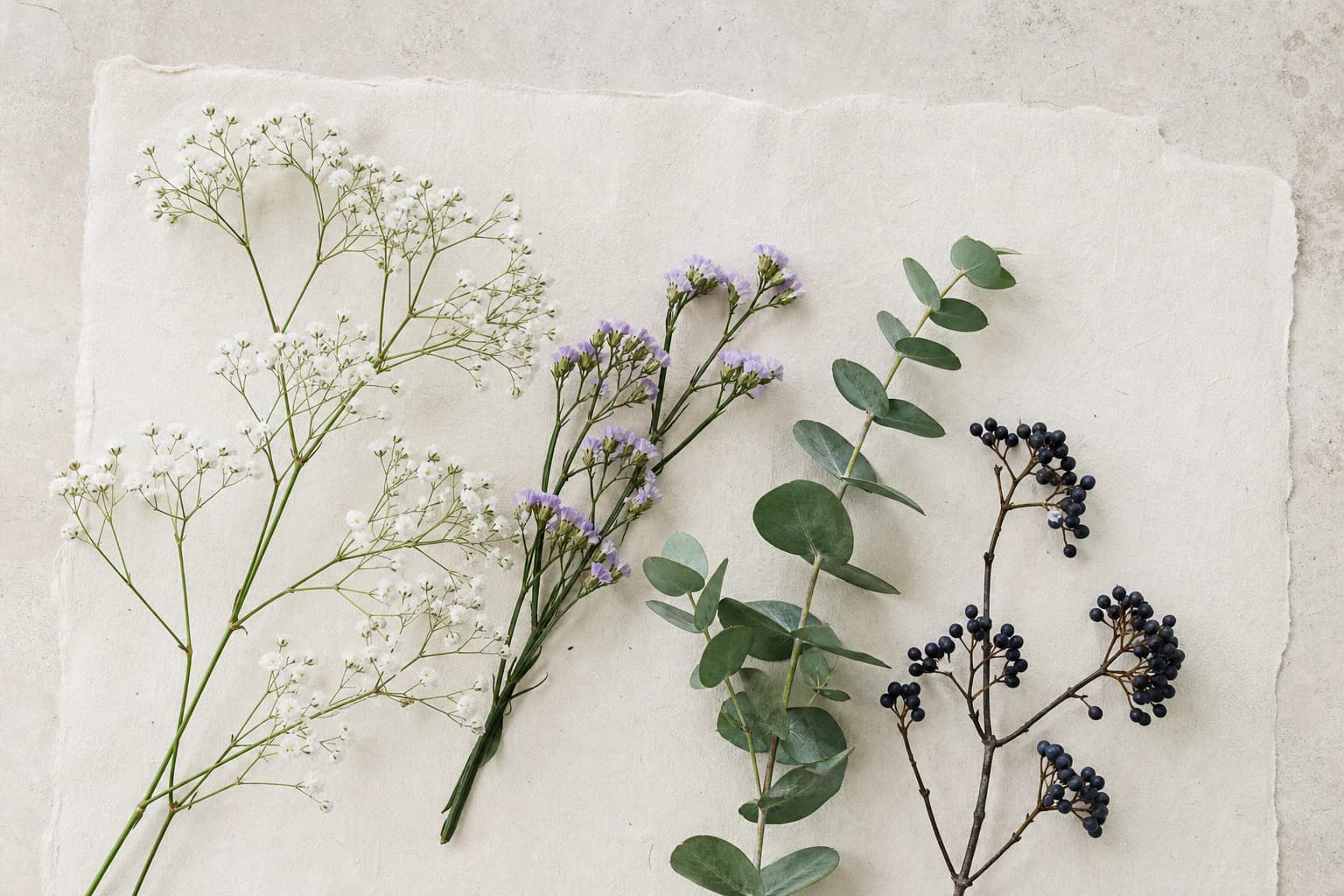 Gypsophila, limonium, eucalyptus and dark berries arranged on handmade paper